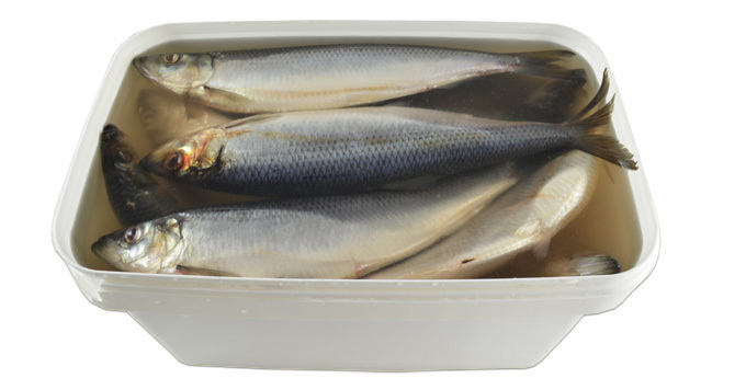 Salzhering in Eimer 12 liter. MOOIJERVOLENDAM B.V.