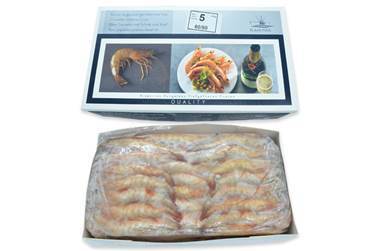 GAMBA ROH MIT KOPF UND SCHALE