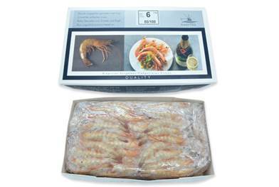 GAMBA ROH MIT KOPF UND SCHALE