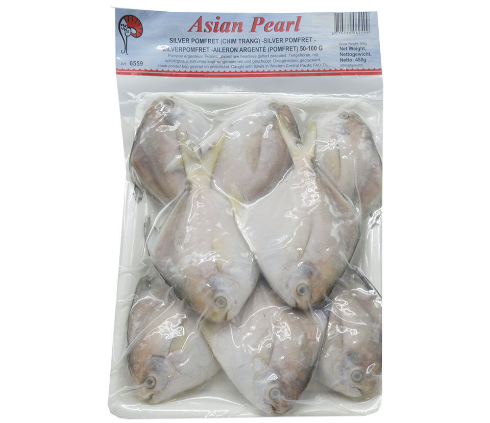 SILVER POMFRET MIT KOPF RUND