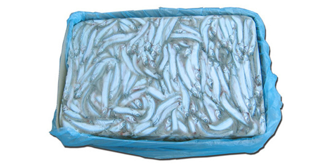 Capelin/Lodde frisch eingefroren in Block25/35
