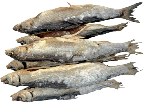 Felchen mit Kopf ausgenommen ,gesalzen und getrocknet